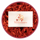 Logo Millésimes Bloc 5